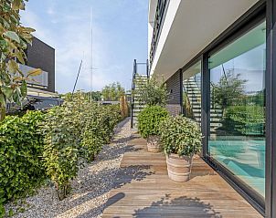 Unterkunft 5903517 - Ferienhaus Noord-Beveland - Zilte Watervilla