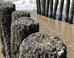 Verblijf 6001108 - Vakantiewoning Schouwen-Duiveland - Villa Village