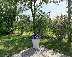 Guest house 6001112 - Holiday property Schouwen-Duiveland - Strandjutter