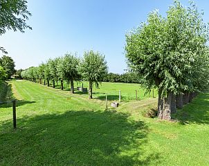 Guest house 600403 - Holiday property Schouwen-Duiveland - Black