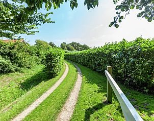 Guest house 600403 - Holiday property Schouwen-Duiveland - Black