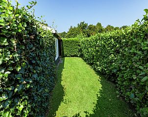 Guest house 600403 - Holiday property Schouwen-Duiveland - Black