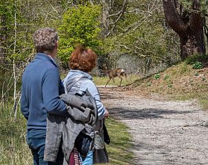 Unterkunft 6004125 - Ferienhaus Schouwen-Duiveland - Vakantiehuis Zonenvlinder