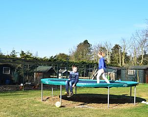 Guest house 6004158 - Holiday property Schouwen-Duiveland - De Fazant