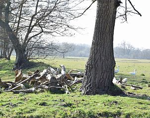 Guest house 6004158 - Holiday property Schouwen-Duiveland - De Fazant