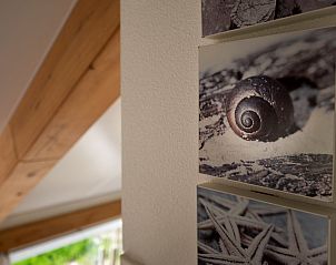 Unterkunft 600711 - Ferienhaus Schouwen-Duiveland - Vakantiehuis Zonnedorp 13, 