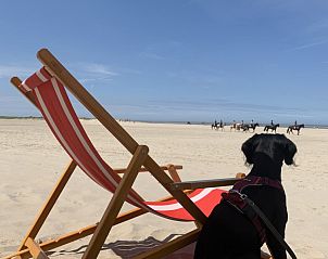 Guest house 6007164 - Holiday property Schouwen-Duiveland - De Oester