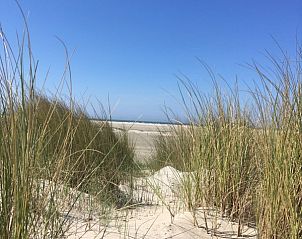 Guest house 6007164 - Holiday property Schouwen-Duiveland - De Oester