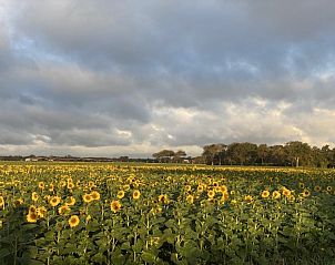 Verblijf 602017 - Vakantiewoning Schouwen-Duiveland - Buitenplaats Oudendijke 6 pers