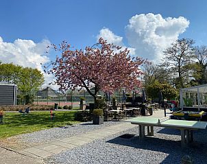 Unterkunft 610482 - Ferienhaus Tholen - Vakantiehuis 