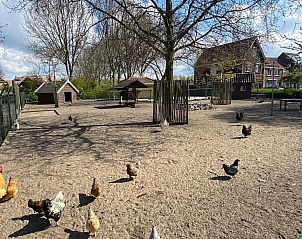Unterkunft 610482 - Ferienhaus Tholen - Vakantiehuis 
