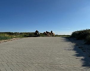 Unterkunft 6201112 - Ferienhaus Walcheren - Noordzee Résidence Dishoek 4
