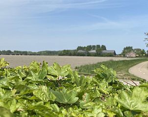 Unterkunft 6202136 - Ferienhaus Walcheren - VZ833 Vakantiewoning Oostkapelle