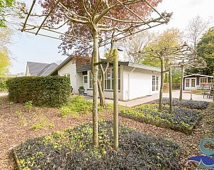 Unterkunft 6202160 - Ferienhaus Walcheren - VZ1173 Vakantiebungalow in Oostkapelle