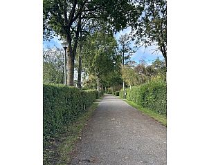 Unterkunft 6202199 - Ferienhaus Walcheren - 633774