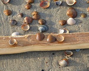 Guest house 620306 - Holiday property Walcheren - Van de Zeeuwse Stromen