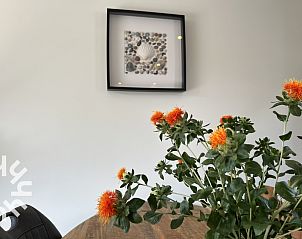Unterkunft 620310 - Ferienhaus Walcheren - ZE730