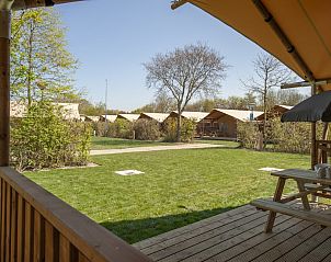 Unterkunft 620444 - Zelthaus Walcheren - Safaritent 6