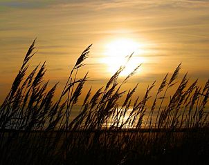 Verblijf 620508 - Vakantiewoning Walcheren - Westduin 24