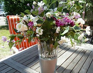 Unterkunft 620526 - Ferienhaus Walcheren - VZ1123 Vakantiewoning in Vlissingen
