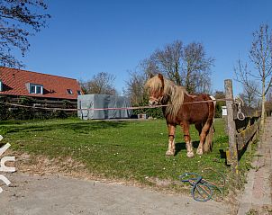 Unterkunft 620603 - Ferienhaus Walcheren - ZE1447