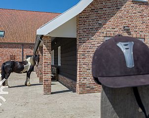 Unterkunft 620622 - Ferienhaus Walcheren - ZE1448