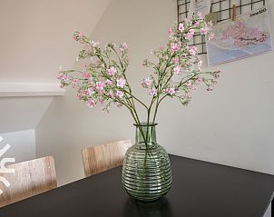 Unterkunft 620769 - Ferienhaus Walcheren - ZE679