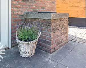 Unterkunft 620774 - Ferienhaus Walcheren - ZE179