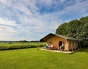 Unterkunft 620822 - Zelthaus Walcheren - Safaritent