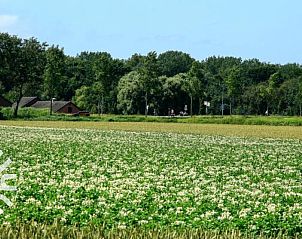 Unterkunft 6209103 - Ferienhaus Walcheren - ZE583