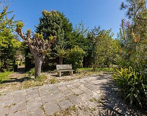 Unterkunft 6209113 - Ferienhaus Walcheren - Fort den Haak - Chalet 1 t/m 10 huisdiervrij
