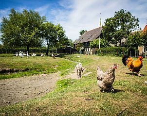 Unterkunft 620990 - Ferienhaus Walcheren - Vakantiehuis Oranjezon B
