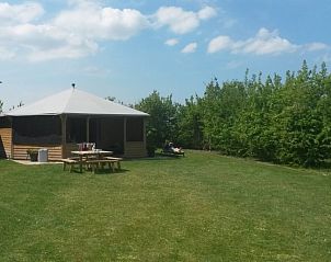 Guest house 621019 - Tent house Walcheren - Minicamping Hoekvliet