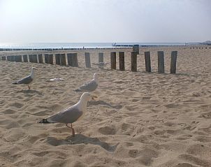 Verblijf 621601 - Chalet Walcheren - vakantieverblijf uit en thuis