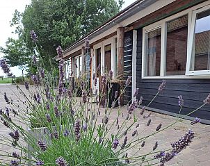Unterkunft 622435 - Ferienhaus Walcheren - VZ494 Vakantiehuis Grijpskerke