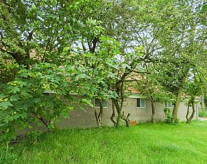 Unterkunft 622435 - Ferienhaus Walcheren - VZ494 Vakantiehuis Grijpskerke