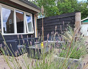 Unterkunft 622435 - Ferienhaus Walcheren - VZ494 Vakantiehuis Grijpskerke