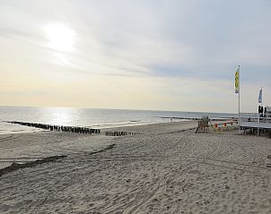 Unterkunft 623017 - Ferienhaus Walcheren - Slaapstrandhuisje - Strand dishoek 68  Dishoek
