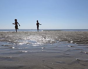 Unterkunft 623035 - Ferienhaus Walcheren - Slaapstrandhuisje - Strand dishoek 60