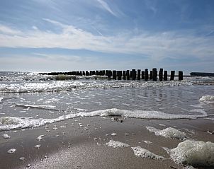 Unterkunft 623035 - Ferienhaus Walcheren - Slaapstrandhuisje - Strand dishoek 60