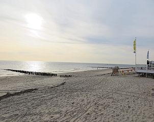 Unterkunft 623035 - Ferienhaus Walcheren - Slaapstrandhuisje - Strand dishoek 60