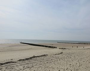 Unterkunft 623035 - Ferienhaus Walcheren - Slaapstrandhuisje - Strand dishoek 60
