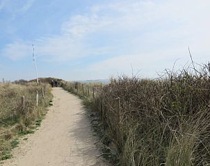 Unterkunft 623035 - Ferienhaus Walcheren - Slaapstrandhuisje - Strand dishoek 60