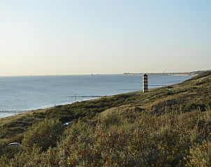 Unterkunft 623035 - Ferienhaus Walcheren - Slaapstrandhuisje - Strand dishoek 60