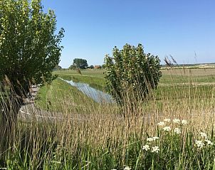 Verblijf 6301126 - Strandhuis Zeeuws-Vlaanderen - Mer du Nord