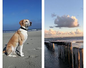 Verblijf 6301132 - Chalet Zeeuws-Vlaanderen - Good Times