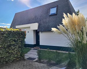 Unterkunft 630139 - Ferienhaus Zeeuws-Vlaanderen - Vakantiehuis Haus zur Entspannung