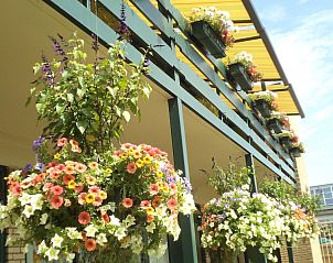 Verblijf 630151 - Appartement Zeeuws-Vlaanderen - Appartementen De Zes Sterren