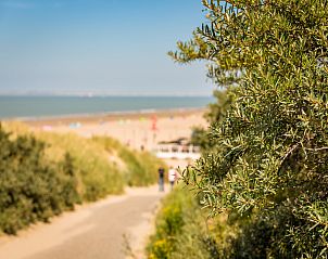 Unterkunft 6303100 - Ferienhaus Zeeuws-Vlaanderen - Beach Resort Nieuwvliet-Bad 2