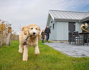 Guest house 630359 - Holiday property Zeeuws-Vlaanderen - Hondenlodge 6